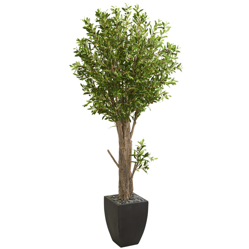 Canora Grey 62.5" Artificial Olive Tree in Planter Wayfair